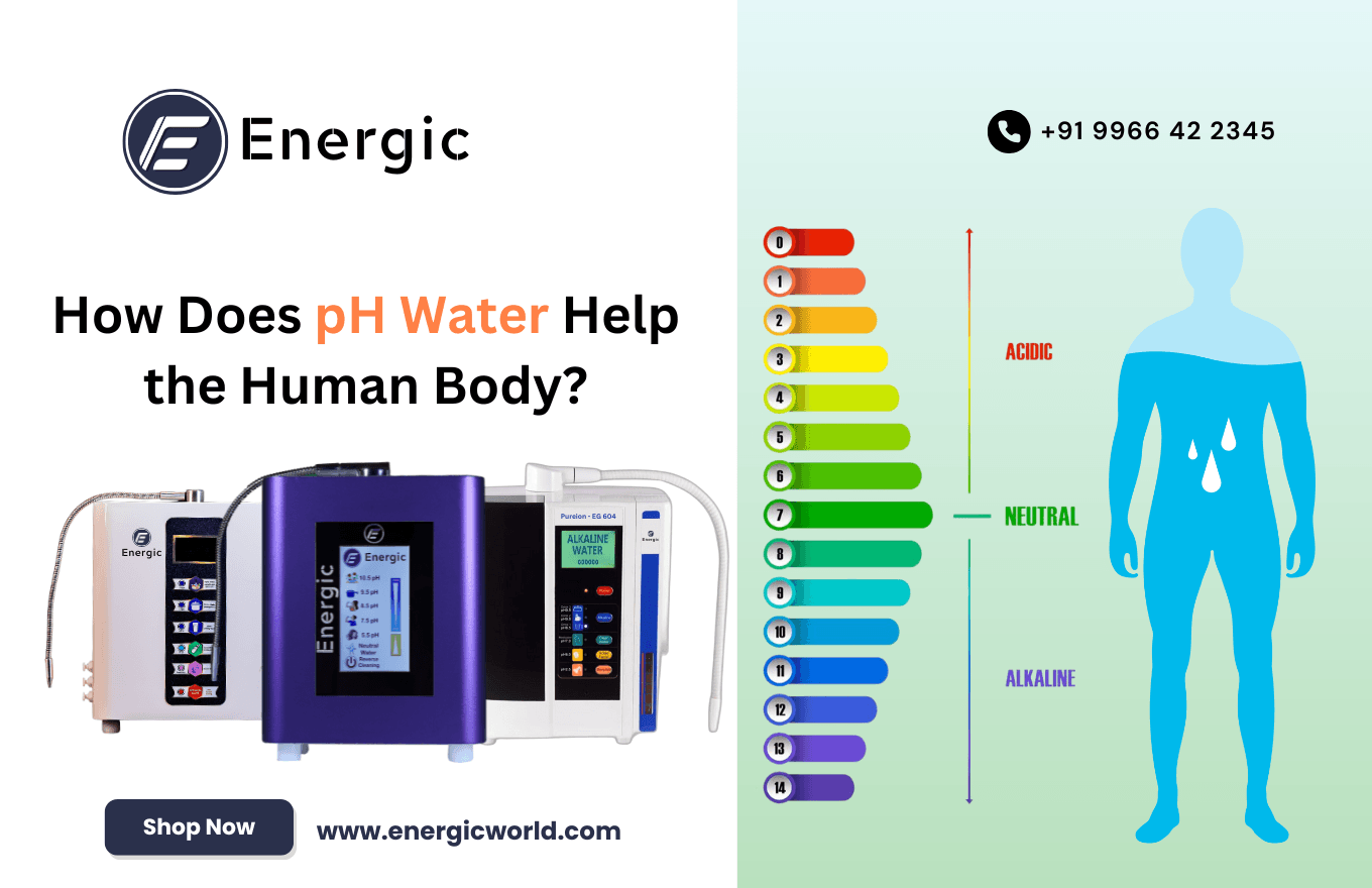 Human Body pH Levels: A Comprehensive Study