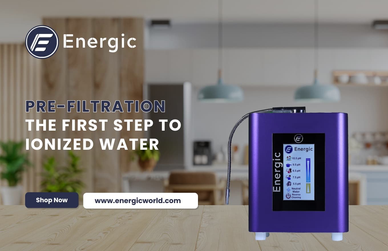 The Importance of Pre-Filtration in the Water Ionization Process