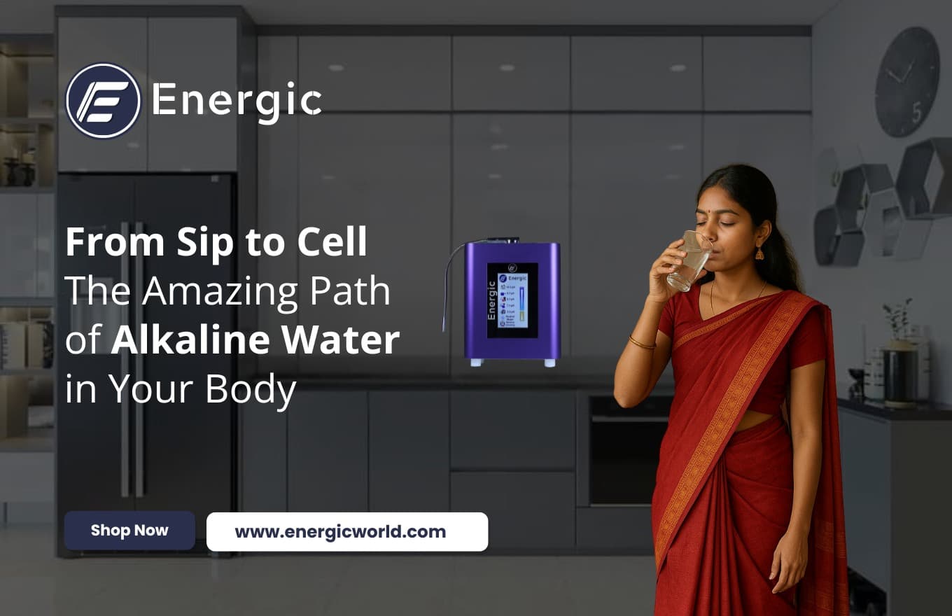 Discover How Water Flows Through Your Body with the Benefits of Alkaline Water