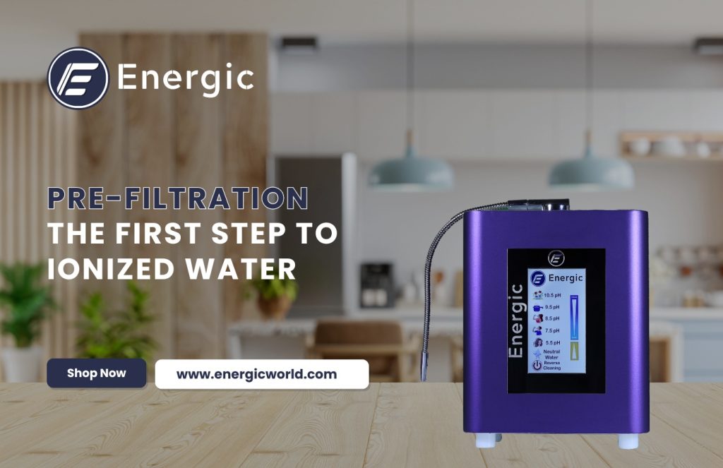 The Importance of Pre-Filtration in the Water Ionization Process